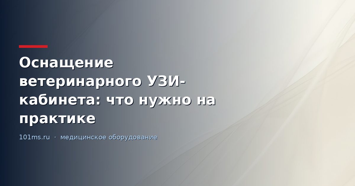 Оснащение ветеринарного УЗИ-кабинета: что нужно на практике