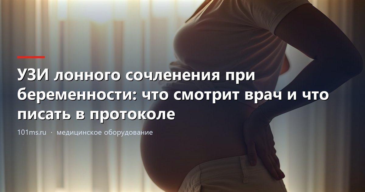 УЗИ лонного сочленения при беременности: что смотрит врач и что писать в протоколе