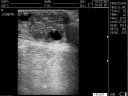 УЗИ сканер Carewell C3 VET для ветеринарии с ректальным датчиком для коров