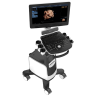 УЗИ аппарат Chison QBit 7